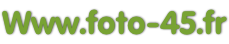 Www.foto-45.fr